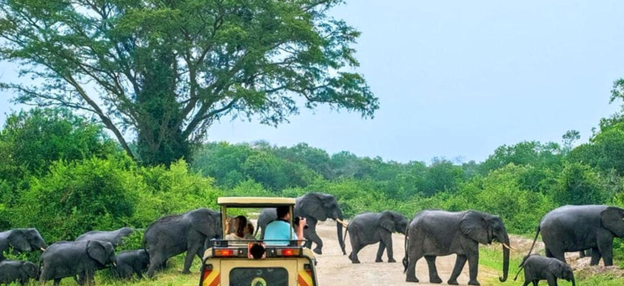 Family Resort Удавалаве Экстерьер фото