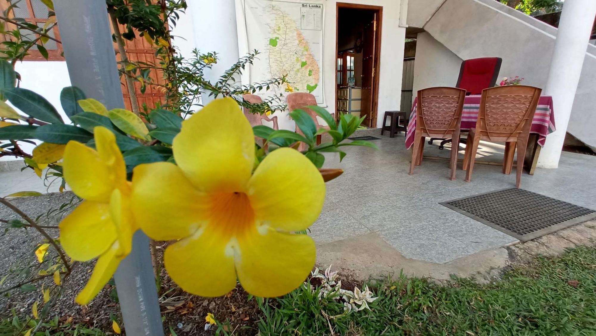 Family Resort Удавалаве Экстерьер фото